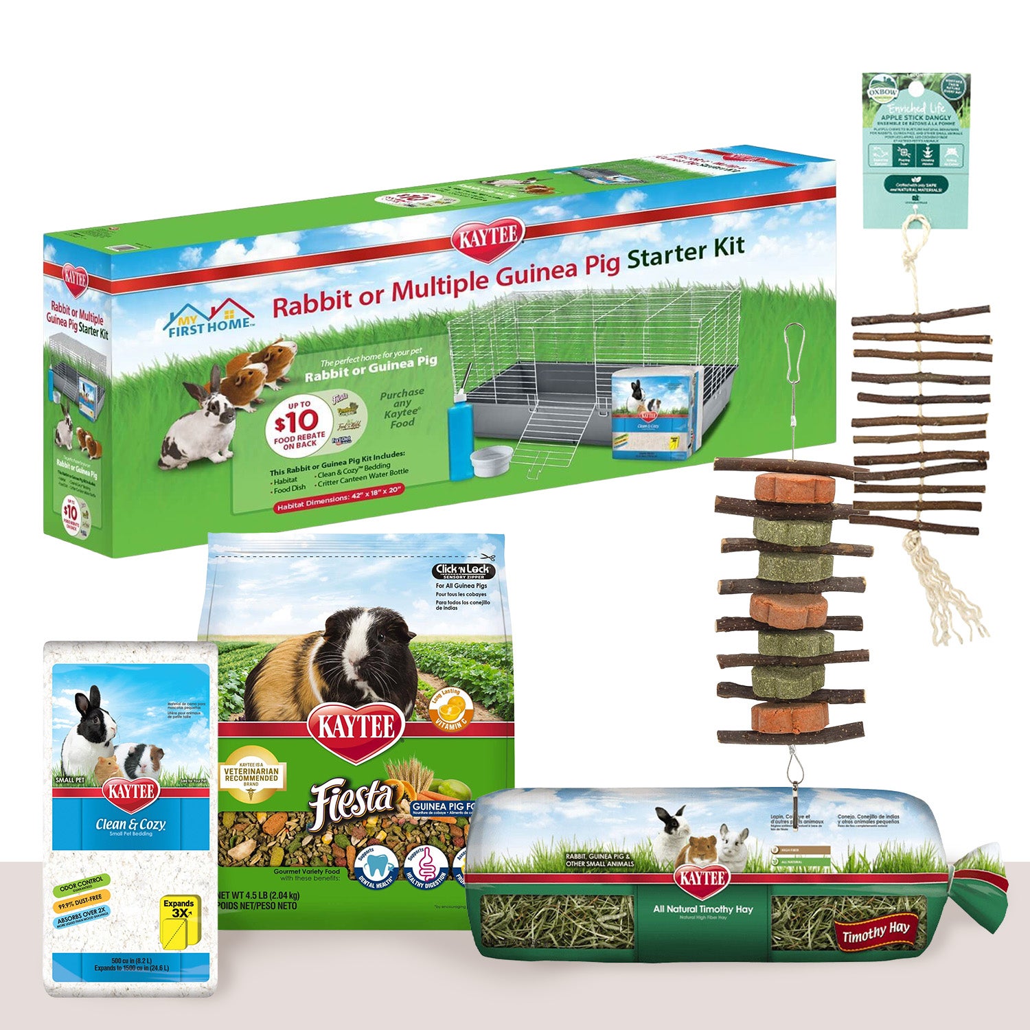 Guinea Pig Starter Set