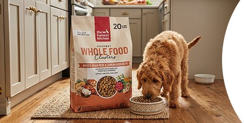 dog eating in kitchen next to The Honest Kitchen dog food bag