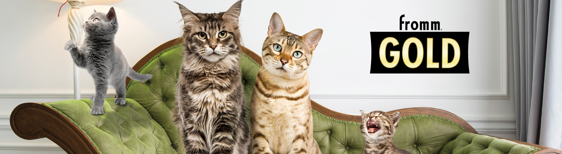Fromm Gold Cat Food