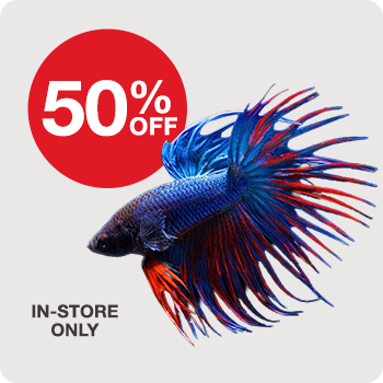 In-Store Only 50% Off Select Betta Fish Veiled and Crowntail : Male and Female