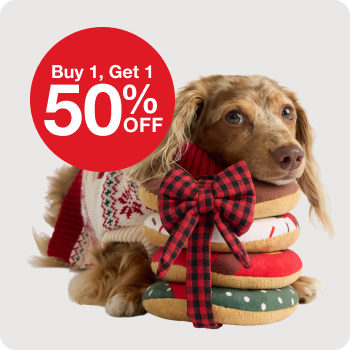 Buy 1, Get 1 50% Off All Holiday Toys, Apparel and Accessories 