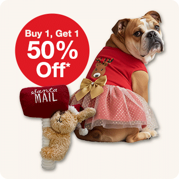 Buy 1, Get 1 50% Off* All Holiday Toys, Apparel and Accessories 