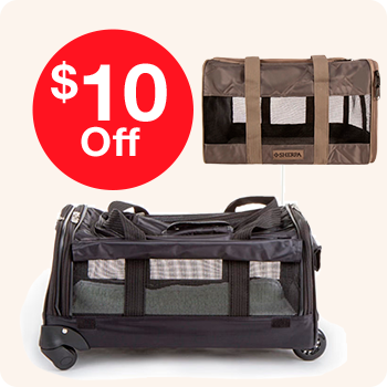 $10 discount on pet travel bags, featuring various styles and colors for comfortable pet travel.