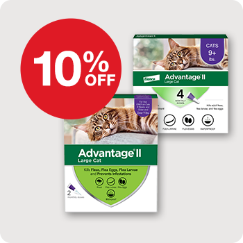 10% Off Advantage II Flea Treatment for Cats 2, 4 & 6 Pk.