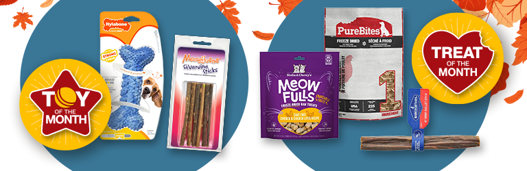 doodle dog with toy and and cat toy with two bags of treats and icons for treat of the month and toy of the month