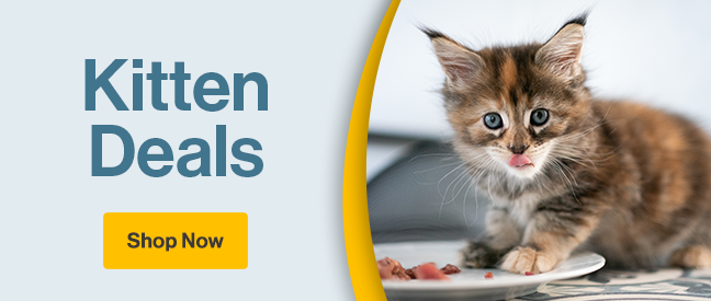 Kitten Deals "Shop Now" with image of small kitten eating