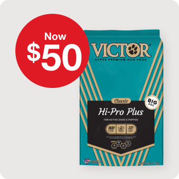 Now $50 Victor Classic Hi-Pro Plus Dog Food  40 lb. bags