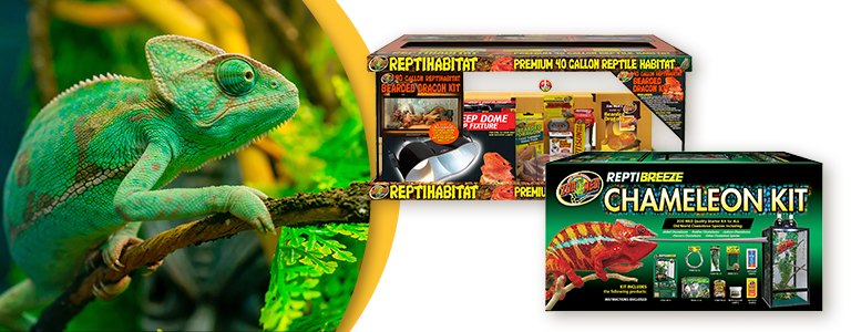 Chameleon and two reptile kits