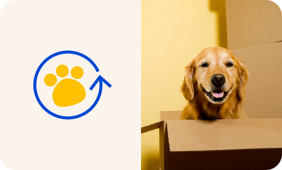 AutoShip & Save