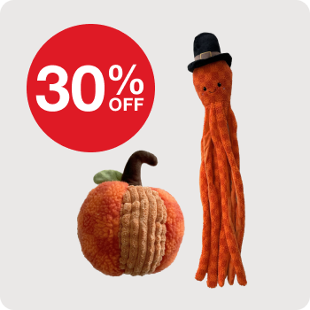 30% Off Aristopet Pumpkin Spice Fall Dog Toys 