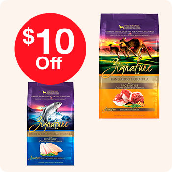 Two bags of dog food featuring a promotional label that reads "$10 off" prominently displayed on the packaging.