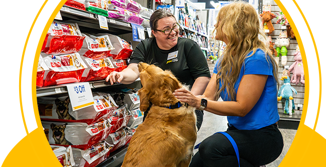 Pet supermarket dog wash online