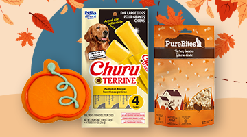 Shows a selection of fall food and chew-curerie, and pumpkin pie cookie