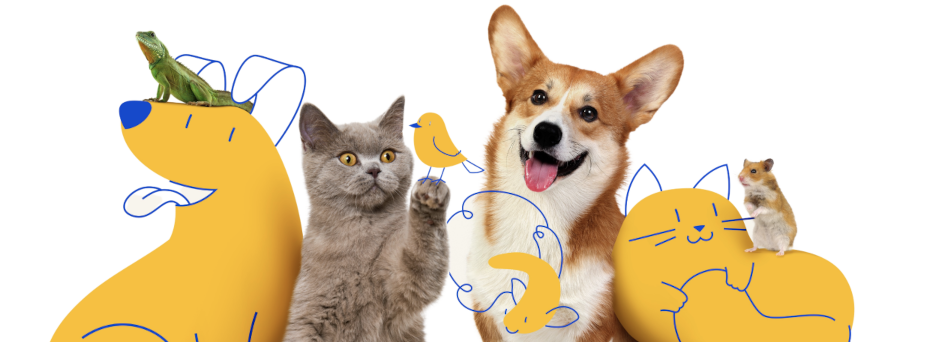 We speak pet