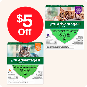 Advantage II flea and tick control product for cats, featuring packaging with $5 Off promotion