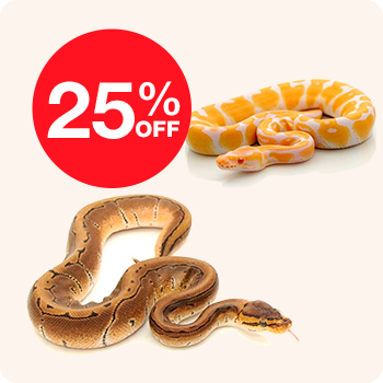 A snake graphic featuring a red circle with "25% off" text inside, indicating a promotional discount