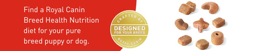 Find a Royal Canin nutrition diet for your pure breed puppy or dog Find a Royal Canin nutrition diet for your pure breed puppy or dog