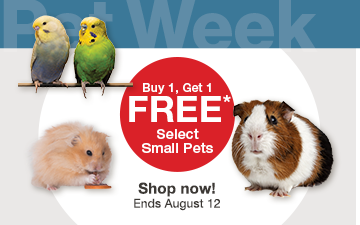 "Buy 1, get 1 free on select small pets, including guinea pigs, hamsters, and parakeets. Shop now. Offer ends August 12."