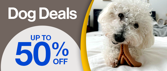 Dog Deals "up to 50% off" white dog chewing a treat