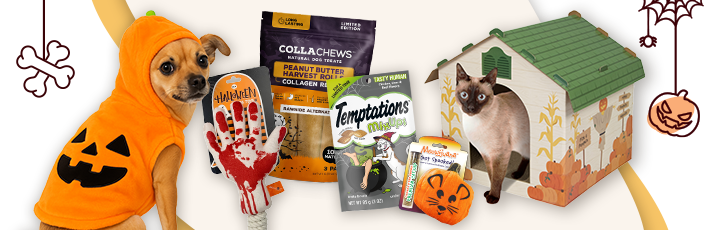 Dog in pumpkin hoodie, Halloween toys, treats, and cat in a fall play house