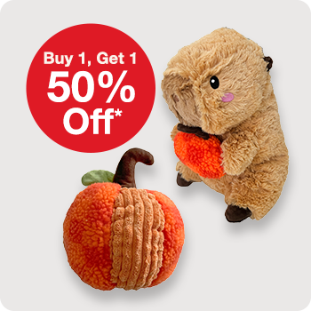 Buy 1, Get 1 50% Off Aristopet Pumpkin Spice Fall Dog Toys