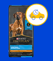 moving car icon with a ticking clock icon all surrounded by a blue circle