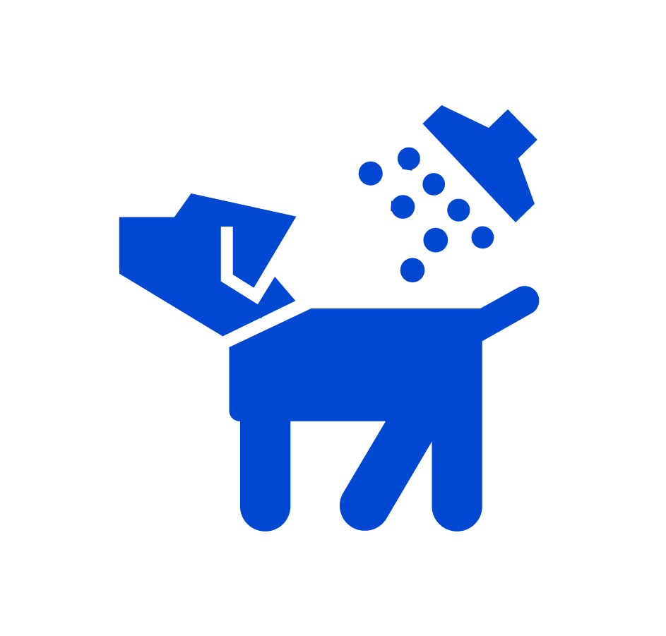 Dog Wash Icon