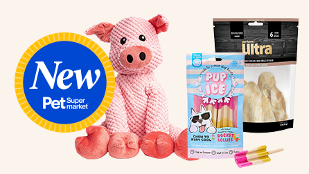 New at Pet Supermarket pig toy and Performatrin Ultra cow ears and Pup Ice treats
