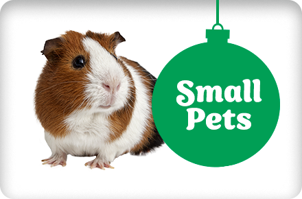Small animal pet stores near me cheap