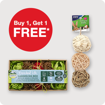 Buy 1, Get 1 FREE Ware, Oxbow and Kaytee Small Animal Toys 