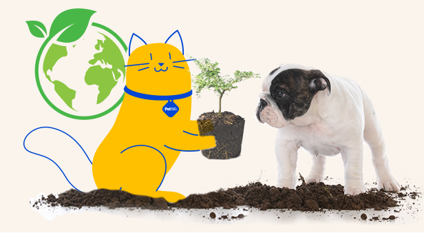 Cat and dog eco-friendly