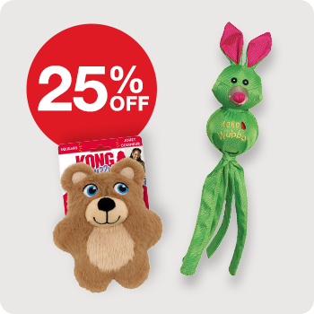 25% Off KONG Dog Toys