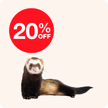 A ferret displaying a 20% off sign, promoting a sale or discount.