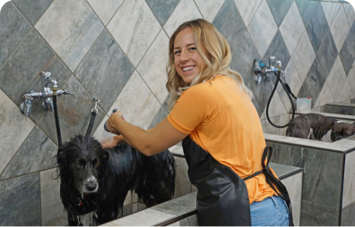 Find a Self-Serve Dog Wash