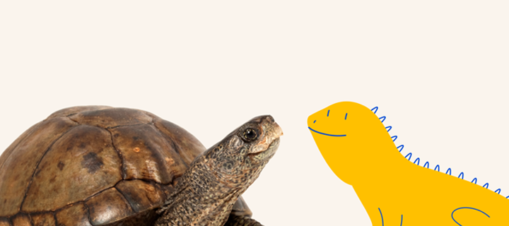 A turtle facing a yellow cartoon lizard, representing a Pet Supermarket Peticon, on a light beige background.