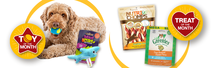 doodle dog with toy and and cat toy with two bags of treats and icons for treat of the month and toy of the month