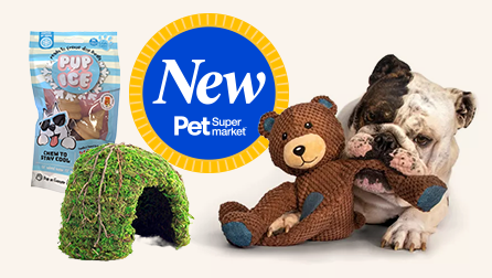 New at Pet Supermarket Galapagos reptile hide, stuffed bear toy with bulldog and Pup Ice treats