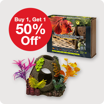 Buy 1, Get 1 50% Off Aquatic D&eacute;cor 