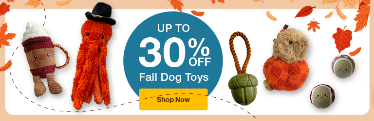 fall toys "up to 30% Off Fall dog toys Shop now" on background with leaves
