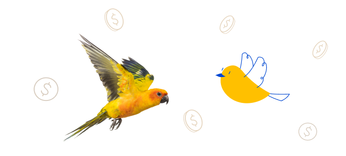 Bird deals and savings