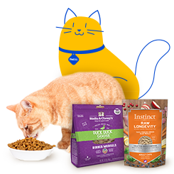 An orange tabby cat is eating from a white bowl of kibble. Behind the cat are two bags of cat food products: Stella & Chewy's Duck Duck Goose Dinner Morsels and Instinct Raw Longevity for adult cats. To the left is a yellow Pet Supermarket Peticon cat illustration, wearing a blue collar with a "Pet Supermarket" tag.