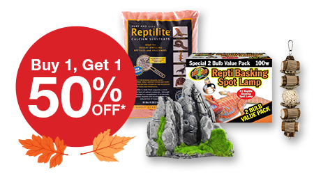 Buy 1 Get 1 Free Penn Plax Aquatic Decor, Prevue Bird Toys/Access & ZM Reptile Lighting