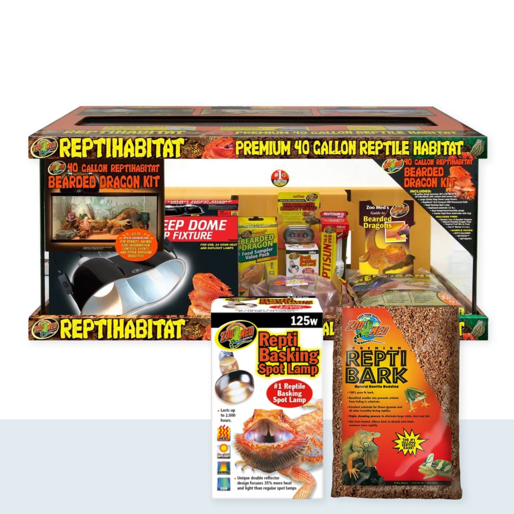 Bearded Dragon Starter Set