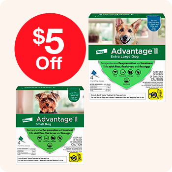 Advantage flea and tick control product for dogs, featuring packaging and branding details prominently displayed.