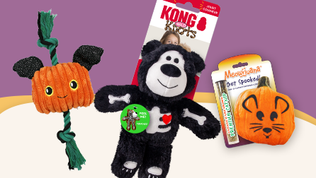 Halloween-themed dog toys, including a plush orange dog toy with a green witch hat, a green-haired zombie plush toy, and a stack of three plush Jack-o'-lantern pumpkins. The background features a spooky theme with stars and shadows.