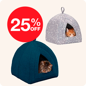 Two cats peacefully sleeping inside their cozy cat houses, creating a serene and adorable scene.