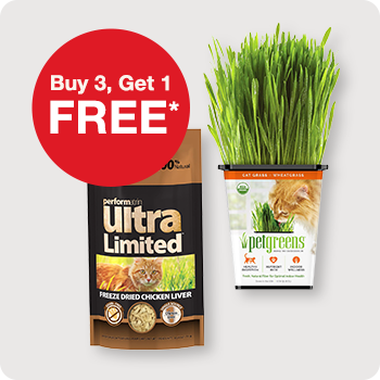 Buy 3 Get 1 Free Treats