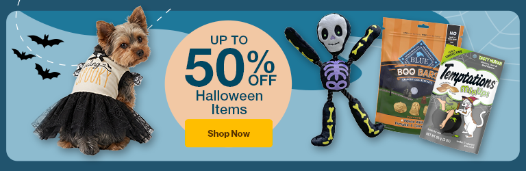 Halloween toys "Buy 1 Get 1  50% OFF Halloween items Shop now" on background with ghosts and bats