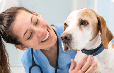 Safe, Affordable Veterinary Care