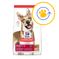 paw icon in yellow with thin blue semi circle arrow around it all surrounded by a yellow circle
